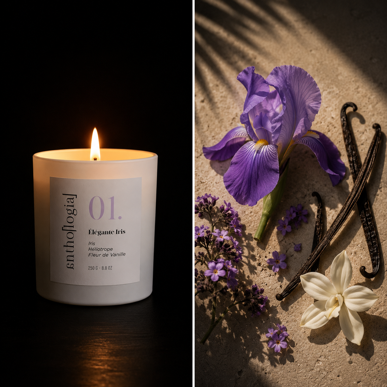 01. Elégante Iris