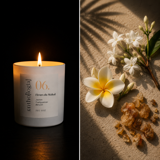 Bougie parfumée Fleurs du Mahal Anthologia — ambiance florale jasmin et frangipanier