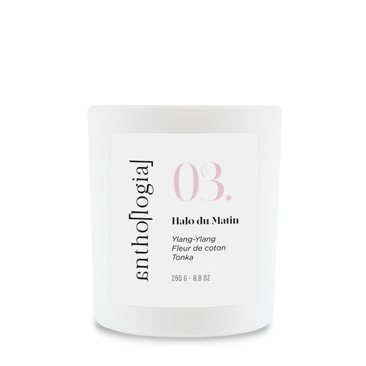 Bougie parfumée Halo du Matin Anthologia — cire végétale, ylang-ylang, coton et tonka